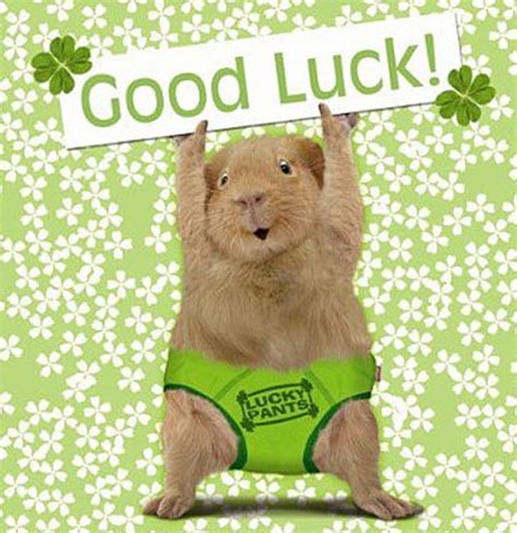 wish yoU lUck .